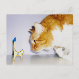 Cartão Postal Gato Engraçado Olhando para Estátua de Gatinho de