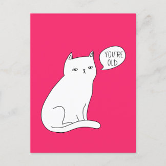 Cartão Postal Gato engraçado rosa vibrante "você é velho" Aniver