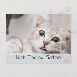 Cartão Postal Gato Engraçado Texto