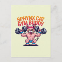 Gato Esfinge Musculoso Parceiro de Academia Cartoo