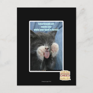 Cartão Postal Gato esperto