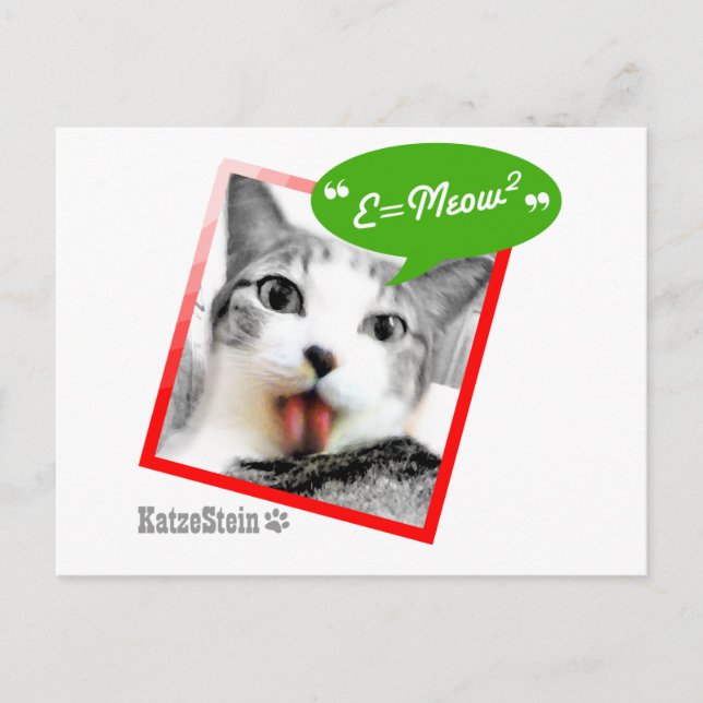 Cartão Postal gato esperto (Frente)
