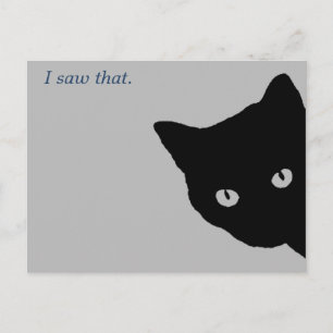 Cartão Postal Gato Espião