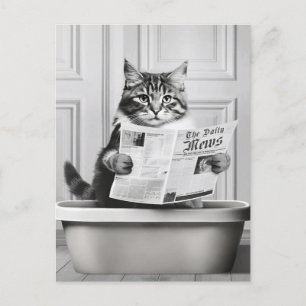 Cartão Postal Gato está sentado no vaso sanitário, gato lendo no