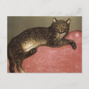 Cartão Postal Gato estendido no Sofa - por Theophile Steinlen