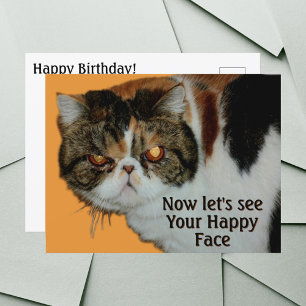 Cartão Postal Gato Exótico de Cabelo Curto Persa Mal-Humorado Re