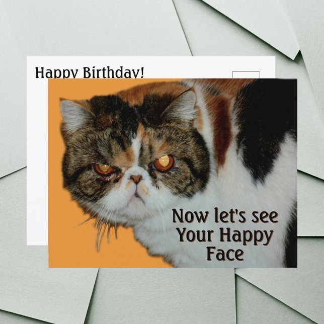 Cartão Postal Gato Exótico de Cabelo Curto Persa Mal-humorado Re (Criador carregado)