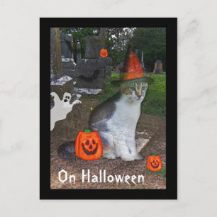Cartão Postal Gato Fantasma