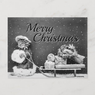 Cartão Postal Gato Feliz Natal com Presentes, Trenó e Neve
