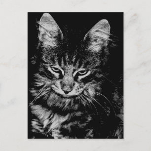 Cartão Postal Gato Floresta Norueguesa