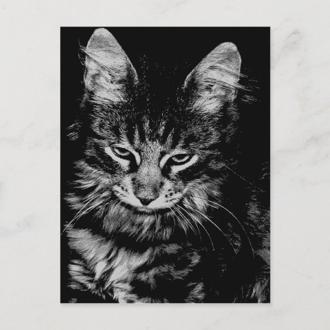 Cartão Postal Gato Floresta Norueguesa (Frente)