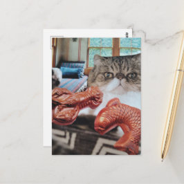 Cartão Postal Gato Fofo Com Lagosta e Peixe Colagem