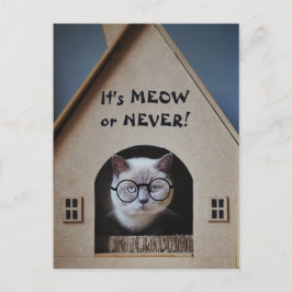 Cartão Postal Gato Fofo Usando Óculos É Meow ou Nunca Citação