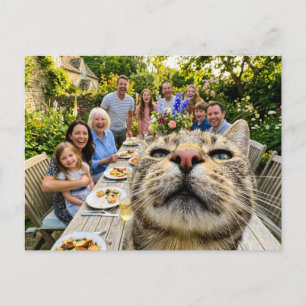 Cartão Postal Gato Fotobomba Jantar no Jardim da Família