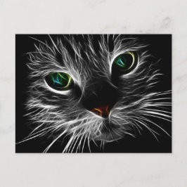 Cartão Postal Gato Fractal