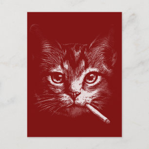 Cartão Postal Gato Fumando Engraçado