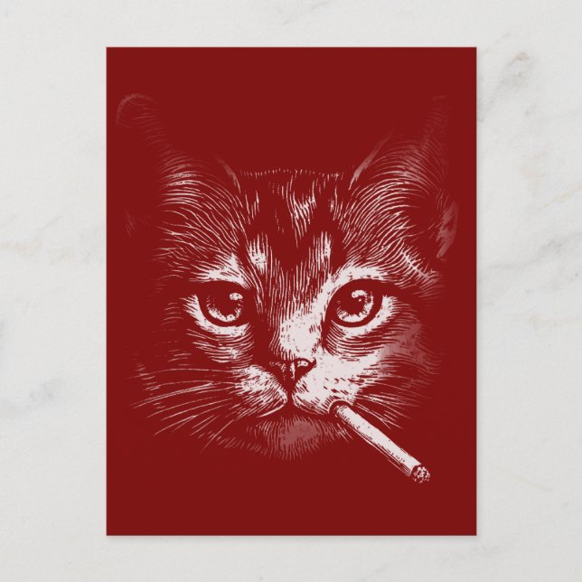 Cartão Postal Gato Fumando Engraçado  (Frente)