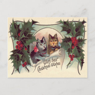 Cartão Postal Gato gatinho azevinho