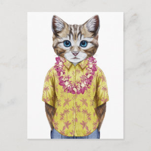 Cartão Postal Gato Gatinho Havaiano