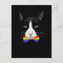 Gato Gay LGBT com Gravata Borboleta Arco-Íris