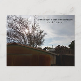 Cartão Postal Gato gordo