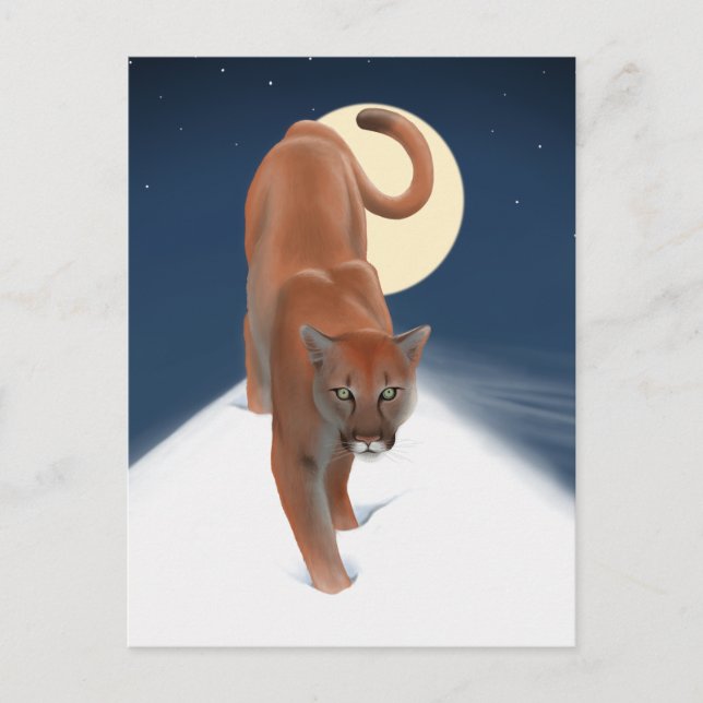 Cartão Postal Gato Grande Na Neve De Inverno - Leão De Montanha (Frente)