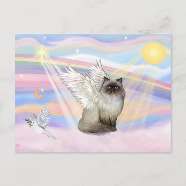 Cartão Postal Gato Himalaio Chocolate Point Anjo (Frente)