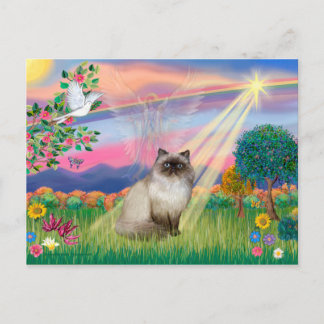 Cartão Postal Gato Himalaio Chocolate Point - Anjo das Nuvens