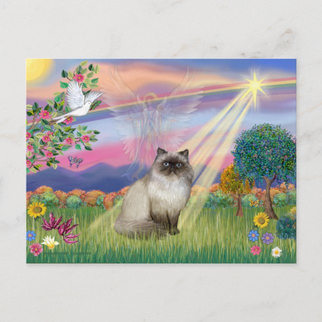 Cartão Postal Gato Himalaio Chocolate Point - Anjo das Nuvens (Frente)