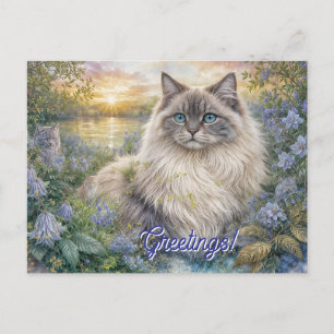 Cartão Postal Gato Himalaio Fofo no Jardim Roxo ao Nascer do Sol