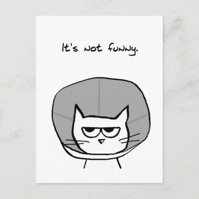 Cartão Postal Gato Irritado e Cone da Vergonha (Frente)