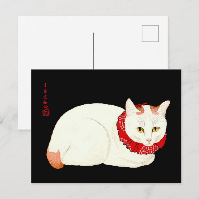 Cartão Postal Gato Japonês Branco e Ginger (Frente/Verso)