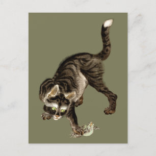 Cartão Postal Gato Japonês Captando um Sapo