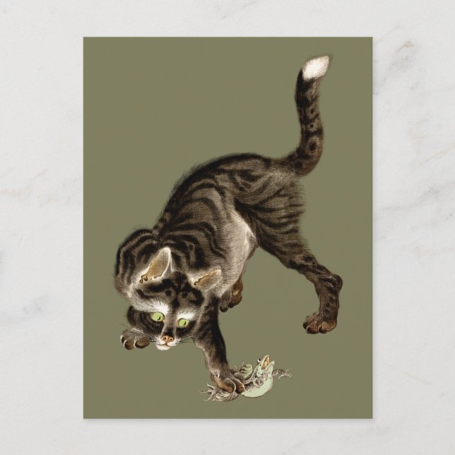Cartão Postal Gato Japonês Captando um Sapo (Frente)