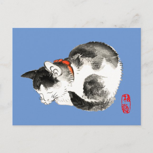 Cartão Postal Gato japonês preto e branco dormindo (Frente)