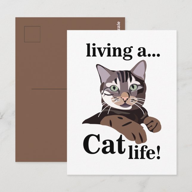 Cartão Postal Gato Kitty Engraçado (Frente/Verso)