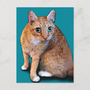 Cartão Postal Gato Laranja