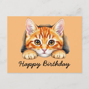 Cartão Postal Gato laranja Gato rajado Feliz Aniversário
