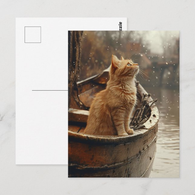 Cartão Postal Gato Laranja num Barco de Madeira (Frente/Verso)