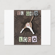 Gato Louco