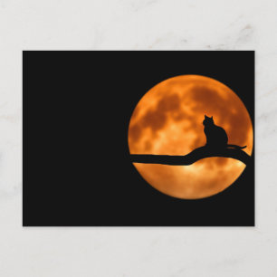 Cartão Postal Gato lunar - Cartão-postal