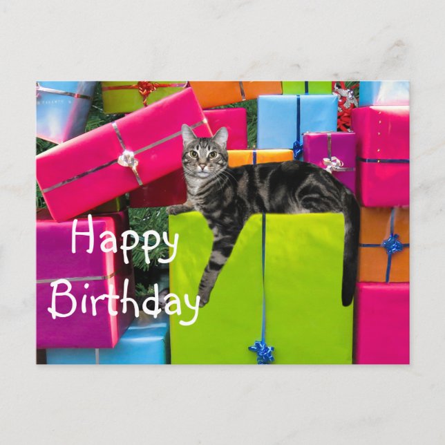 Cartão Postal Gato malhado de aniversário (Frente)