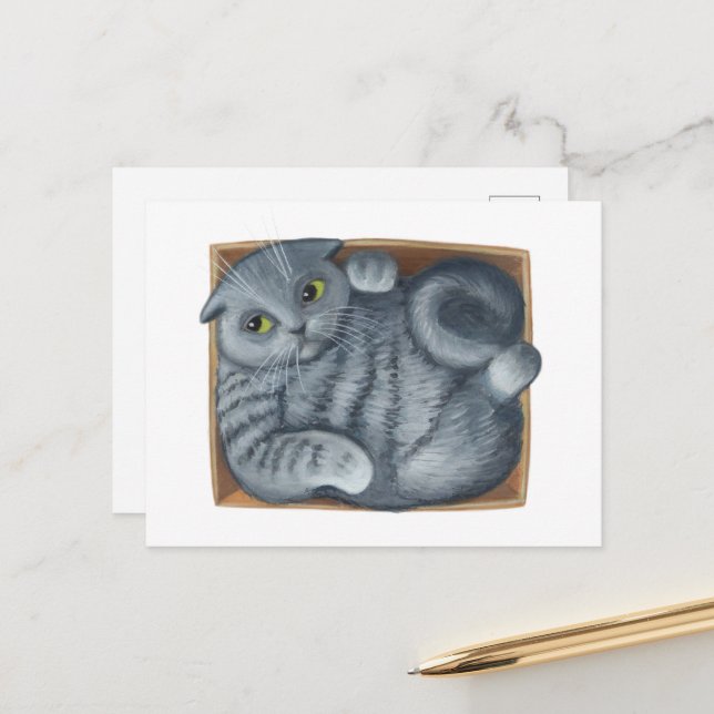 Cartão Postal Gato na caixa (Frente/Verso In Situ)