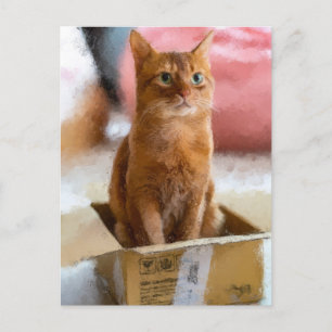Cartão Postal Gato Na Caixa De Arte Digital Gatinho