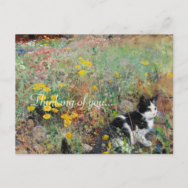 Cartão Postal Gato na Flor (Frente)
