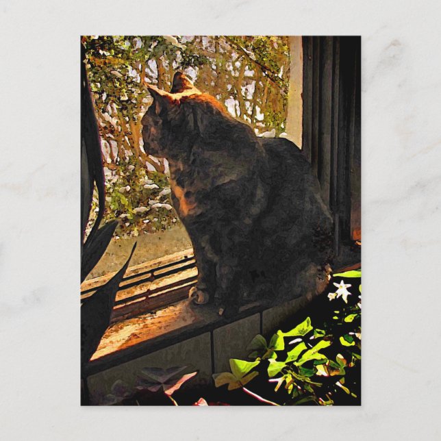 Cartão Postal Gato na janela (Frente)