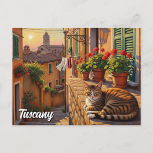 Cartão Postal Gato na Toscana Itália