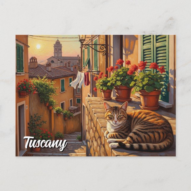 Cartão Postal Gato na Toscana Itália (Frente)