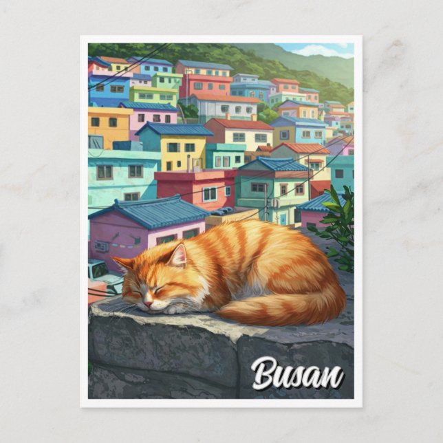 Cartão Postal Gato na Vila Cultural de Gamcheon Viagem Busan (Frente)
