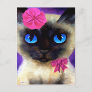 Cartão Postal Gato, nascer do Sol e Rio da Vida
